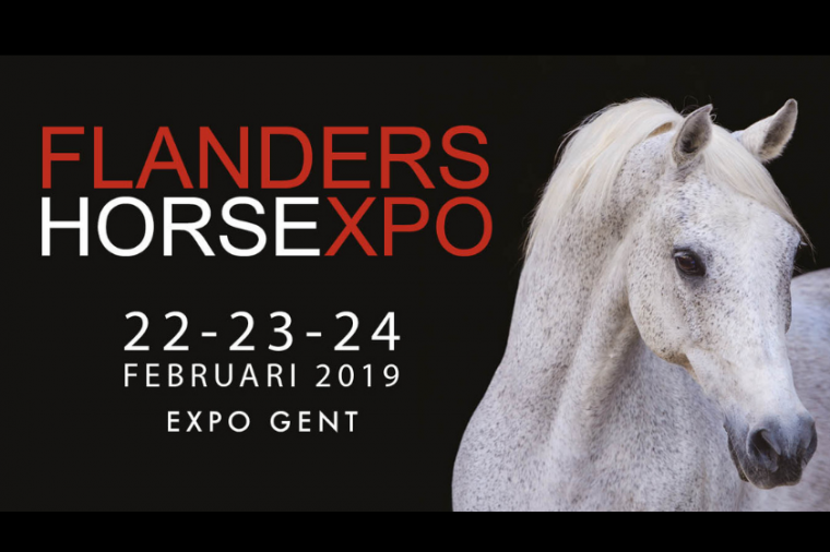 Bezoek ons tijdens Flanders Horse Expo